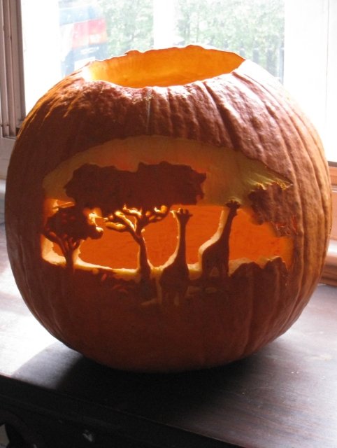 Pumkin Image
