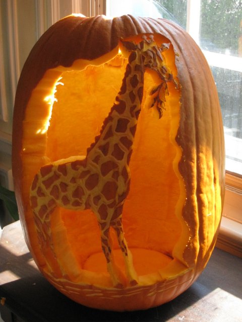 Pumkin Image