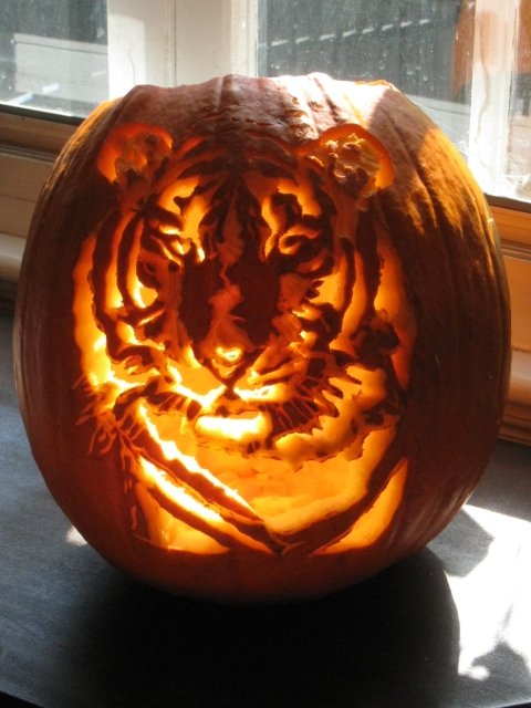 Pumkin Image